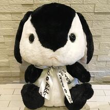 美品　ぽてうさろっぴー ブラック×ホワイト　テディカラー　ぶらっくべりん　うさぎ　ウサギ　ぬいぐるみ　約27㎝_画像3