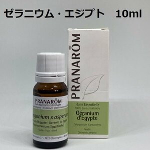 【即決】ゼラニウム・エジプト 10ml プラナロム PRANAROM アロマ 精油　ゼラニウムエジプト　(W)