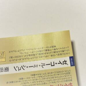 Freddie King'Cover～Otis Rush Junior Wells超絶ブルースギター ギタリストJapanese Blues Guitarist菊田俊介They Call Me SHUN KIKUTAの画像2