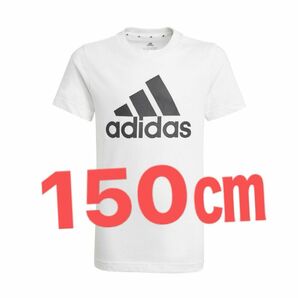 アディダス(adidas) Tシャツ 半袖 B ESS BL Tシャツ GN3994 アディダス Tシャツ