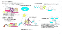 令和5年度島根県雲南市産きぬむすめ玄米 ハデ干し(天日干し) 10㎏_画像2