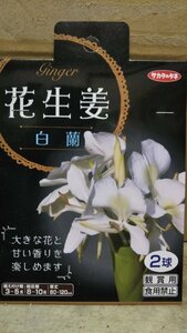 花 生姜 白蘭 しょうが １袋 球根 サカタのタネ 郵便は送料無料