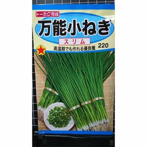 ３袋セット 万能 小ねぎ スリム こねぎ 種 郵便は送料無料