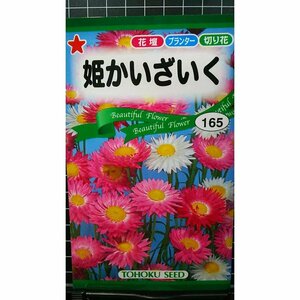 姫 かいざいく 貝細工 花かんざし 種