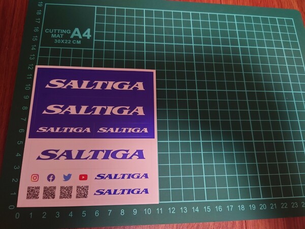 【送料無料】ソルティガ ステッカー DAIWA SALTIGA フィッシングショー 釣りフェスティバル 非売品