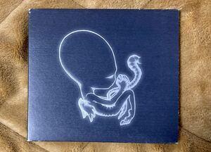 送料込 シガー・ロス「アゲイティス・ビリュン」国内盤 Sigur Ros / Agaetis Byrjun