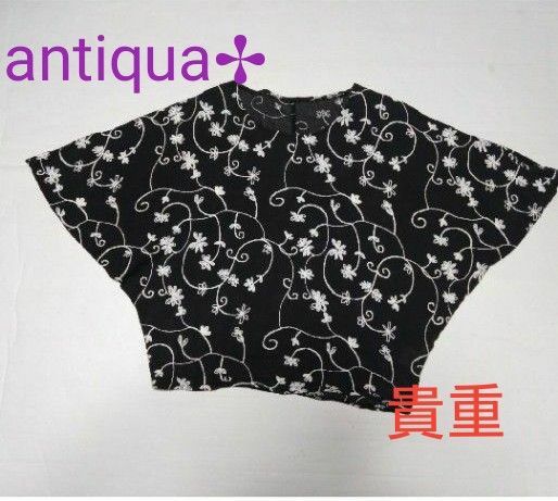 antiqua 刺繍ブラウス　黒地　 ブラウス トップス 黒