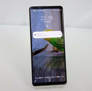 ジャンク おまかせロック解除不可 Xperia 1 III SO-51B docomo 利用制限○ 外観美品 インボイス可 送料無料 【専0311-20-0313】清L