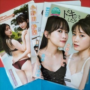 【グラビア/水着グラビア/ラミネート加工】小野田沙栞、里吉うたの　4枚7面