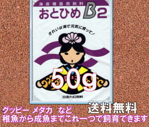 B2 おとひめ B-2 　50g　メダカ　グッピー　カラシンに最適！