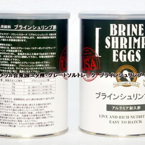 日本動物薬品 ニチドウ  ブラインシュリンプ エッグ 20g ユタ州 ソルトレイク産 ブラインシュリンプ の画像5
