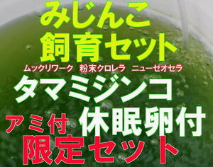 2024年度産 新鮮 タマミジンコ 乾燥卵　 飼育セット 防腐処理済 アミ・緑色付　ムックリ クロレラ