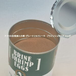 日本動物薬品 ニチドウ  ブラインシュリンプ エッグ 100g ユタ州 ソルトレイク産 ブラインシュリンプ の画像2