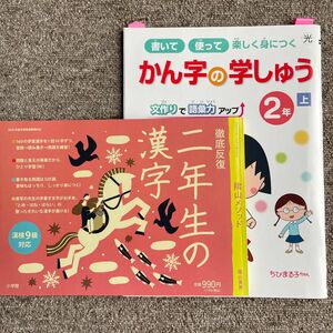 陰山メソッド　徹底反復二年生の漢字 かん字の学しゅう　陰山英男　漢字　小学二年生　