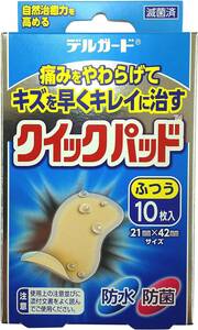 10枚 阿蘇製薬 デルガード クイックパッド ふつうサイズ 10枚