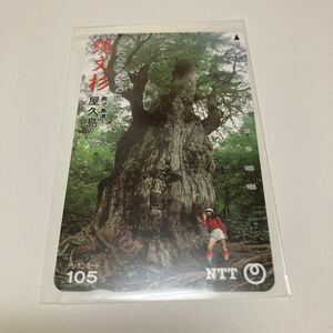 未使用 屋久島 縄文杉 7200年の生命の息吹 105度数 テレフォンカード テレカ テレホンカード テレカ 景色 風景 自然 観光 世界自然遺産