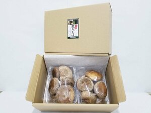 Специальные грибы Gyoda (средний размер) приблизительно 520 г
