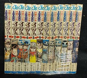 荒野の少年イサム　全12巻　山川惣治　川崎のぼる　イタミ有り