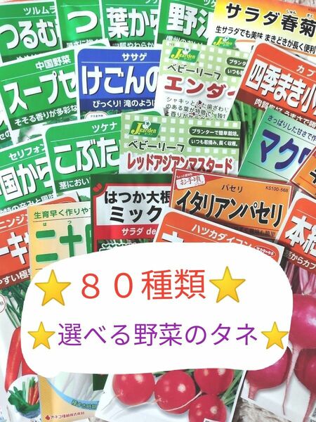 【タネ出品３】新入荷あり！！閲覧用！★８０種類から選べる野菜のタネ★お好きなタネを選んでコメント下さい★