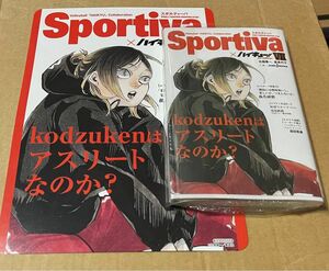 ハイキュー　 ショーセツバン　 アニメイト特典　孤爪研磨　ビジュアルボード