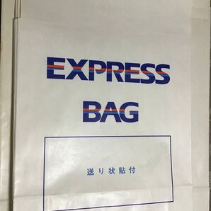 佐川急便 エクスプレスパックLサイズ3枚、Mサイズ7枚 新品未使用