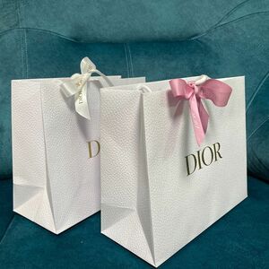 DIOR ショッパー　27×23 マチ11.5 二枚セット