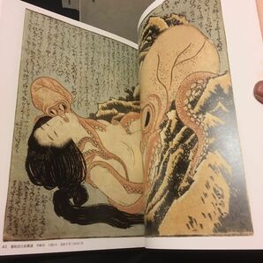    「艶色浮世絵全集 全12冊」 河出書房 福田和彦 肉筆絵巻 歌麿 英泉 春画の画像7