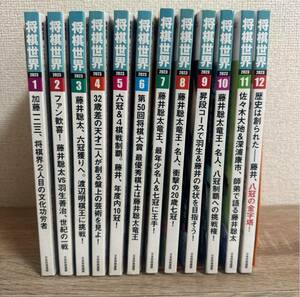 将棋世界2023年1月〜12月号 1年分12冊 sku 1245
