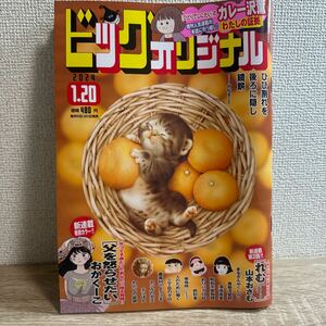 ビッグコミックオリジナル 2024年1月20日 4号 no.4