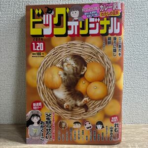 ビッグコミックオリジナル 2024年1月20日 2号 no.2