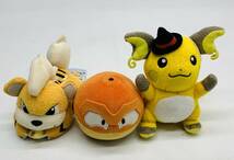 ジャンク ポケットモンスター ポケモン ぬいぐるみ まとめ売り ピカチュウ ロコン デデンネ カビゴン コダック アチャモ イーブイ など_画像10