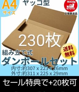 ネコポスクリックポストゆうパケット定形外郵便A4　ヤッコ型230枚＋20枚