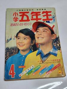 T　昭和39年4月号　小学五年生　山川惣治　関谷ひさし　今村洋子　赤塚不二夫　江波譲二　