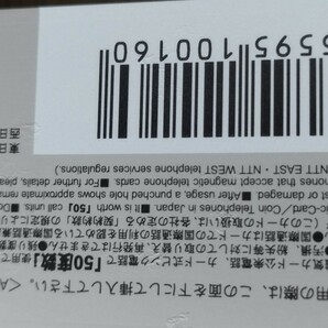 催眠学園DVD 催眠術 北川あや 倉沢さなえ 矢野みどり 未使用 テレホンカード アニメの画像8