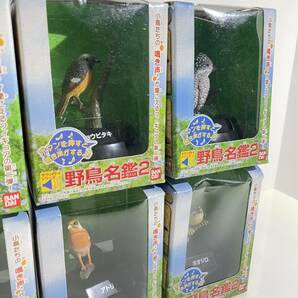 未開封 当時物 BANDAI 野鳥名鑑2 まとめ売り 6種 フィギュア ヤマセミ ホオジロ ジョウビタキ アトリ ノビタキ キセキレイ バンダイの画像3