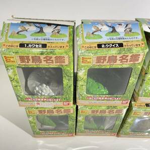 開封品 バンダイ 野鳥名鑑 フルコンプ まとめ売り 8種 フィギュア カワセミ ウグイス ヤマガラ メジロ モズ ホトトギス オオルリ コマドリの画像2