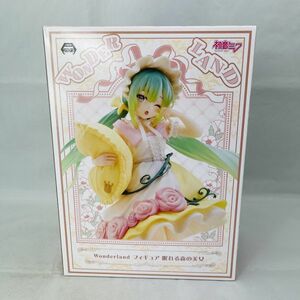 Hatsune Miku figure Wonderland 眠れる森の美女 初音ミク フィギュア 初音 ミク VOCALOID ボカロ 未来