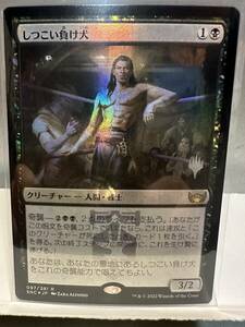 MTG 　しつこい負け犬　Tenacious Underdog　 PR　FOIL　1枚　