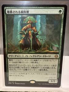 MTG　敬慕される腐敗僧　Venerated Rotpriest　PR　日本語版　1枚