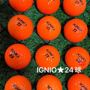 ☆S、A品☆ IGNIO☆オレンジ　24球
