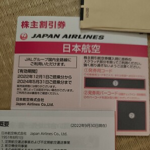 日本航空 株主割引券 2024年5月31日までの画像1