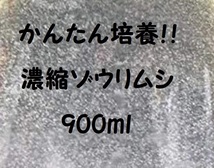 ★【送料無料!!】★濃縮ゾウリムシ種水900ｍｌ★メダカ・グッピー針子・稚魚の生餌!!★生存率アップ!!※培養方法説明書付き！_画像1