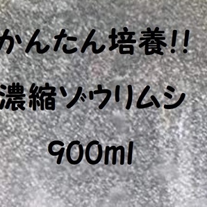 ★【送料無料!!】★濃縮ゾウリムシ種水900ｍｌ★メダカ・グッピー針子・稚魚の生餌!!★生存率アップ!!※培養方法説明書付き!!の画像1