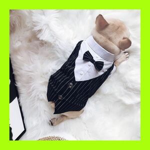 【新品】犬の服　フォーマル　リボン付きタキシード　正装　結婚式　冠婚葬祭　紺　M