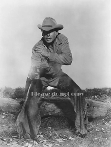1949年　製作映画 「秘境」グレン・フォード　大きなサイズ写真