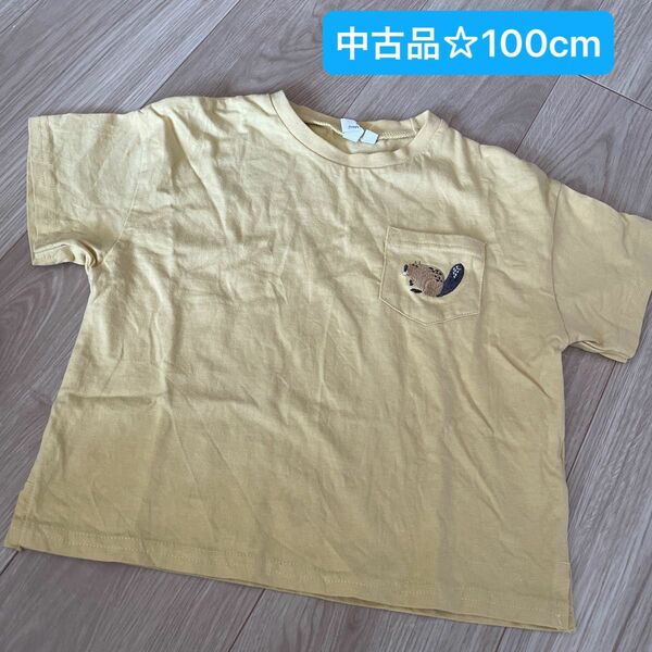 中古品☆samansa mos2 Lagom 動物 刺繍 リス Tシャツ 100cm 100サイズ