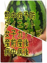 熊本春スイカ　1番なり　優品　13度前後　すいか1玉6キロ〜7キロ　①_画像2