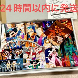 新品限定レア☆東京ディズニーリゾート限定 アンコールザモーメンツ展 アートパネル ピクチャーパネル ポスター 実写