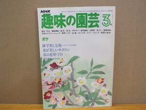 NHK 趣味の園芸「ボケ」昭和57年3月