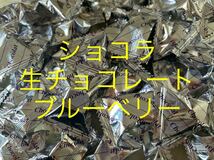 送料230円～1円スタート！計60個！ ショコラ生チョコレート ブルーベリー お菓子詰め合わせセット　アウトレット 大量工場直売お買い得格安_画像1